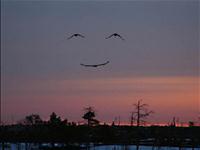Raeranna Puhkemaja